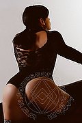 Parma - Piacenza - Milano - Pistoia - Roma - Perugia Escort Helene Castelli 333 95 61 638 foto 3322